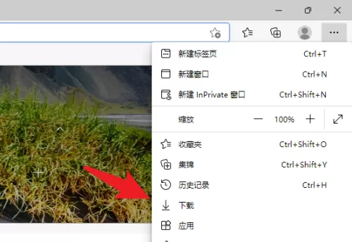 Edge浏览器下载文件在哪里?Edge浏览器下载文件查看方法