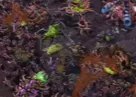 星际争霸如何集中全部兵?星际争霸集中全部兵的详细攻略