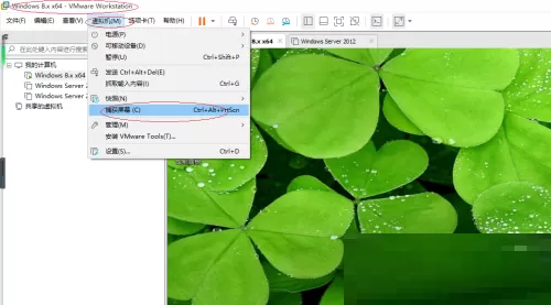 VMware Workstation怎么截屏?VMware Workstation截屏教程