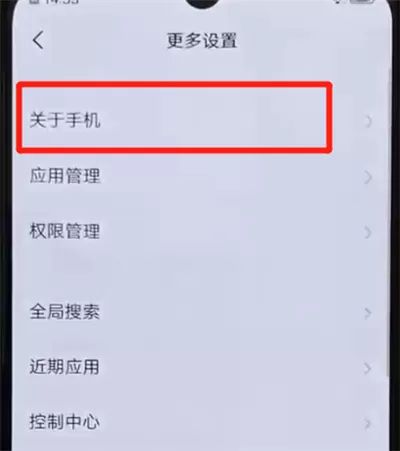 iqoo手机中打开开发者模式的简单操作方法