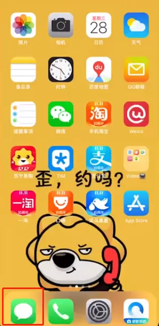 苹果中关闭语音信箱的操作教程