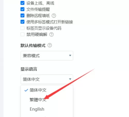 ToDesk怎么设置繁体中文?ToDesk设置繁体中文方法
