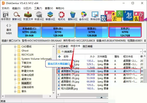 diskgenius怎么预览文件?diskgenius预览文件教程