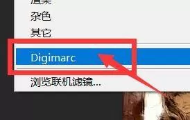 Photoshop怎么读取水印?Photoshop读取水印教程