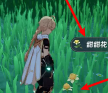 原神砂糖在哪?原神中找到砂糖的攻略