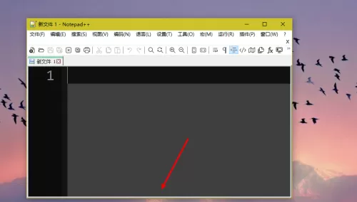 代码编辑器(Notepad++)怎么隐藏状态栏?代码编辑器(Notepad++)隐藏状态栏方法