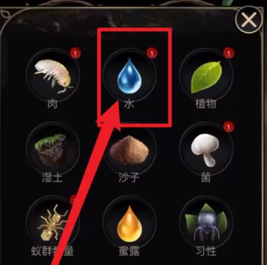 小小蚁国怎么浇水?小小蚁国浇水的玩法攻略