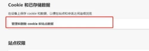 microsoft edge怎么查看Cookie数据?microsoft edge查看Cookie数据教程