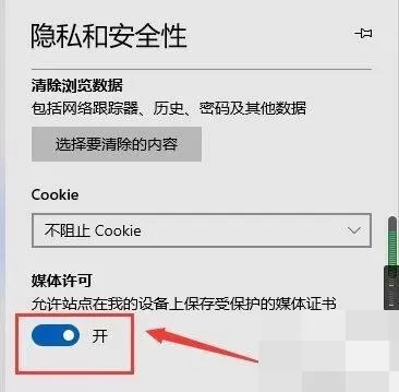 microsoft edge媒体许可怎么开启?microsoft edge媒体许可开启方法