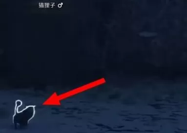 霍格沃茨之遗猫狸子在哪里?霍格沃茨之遗找到猫狸子的操作步骤