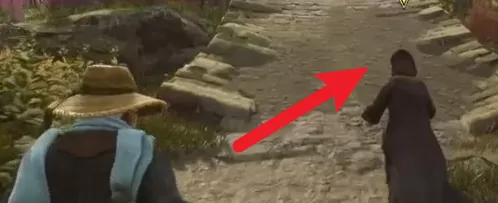 霍格沃茨之遗怎么获得坐骑？霍格沃茨之遗获得坐骑攻略