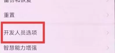 华为nova5打开USB调试的详细教程