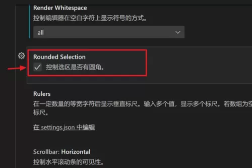Vscode怎么设置选区有圆角?Vscode设置选区有圆角教程
