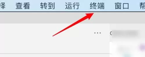 Vscode如何在终端显示结果?Vscode在终端显示结果教程