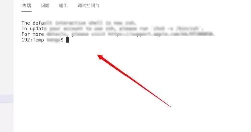 Vscode如何在终端显示结果?Vscode在终端显示结果教程