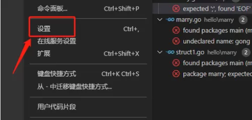 Vscode怎么自定义终端类型?Vscode自定义终端类型方法