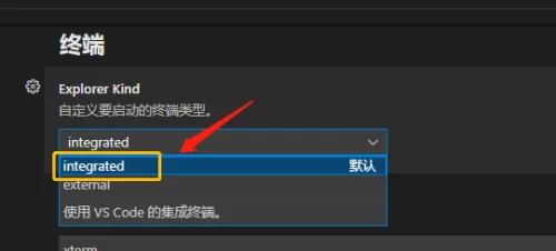 Vscode怎么自定义终端类型?Vscode自定义终端类型方法