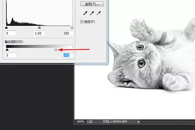 Photoshop制作素描效果的详细操作步骤