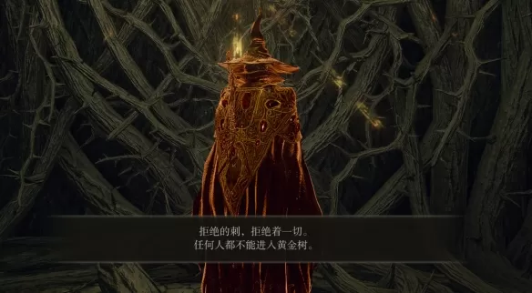 艾尔登法环荆棘墙怎么进入?艾尔登法环荆棘墙进入方法