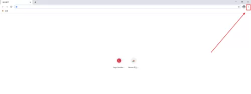 Google浏览器如何关闭自动打开pdf文件?Google浏览器关闭自动打开pdf文件的方法