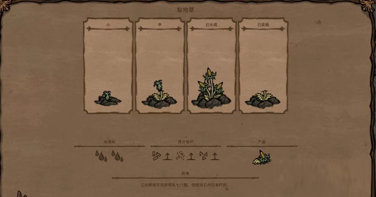 饥荒犁地草有什么用?饥荒犁地草作用介绍