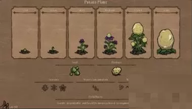 饥荒勿忘我植物有什么用?饥荒勿忘我植物作用介绍