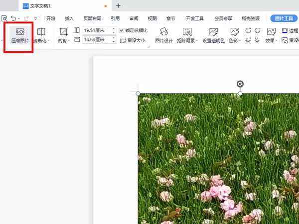 WPS怎么压缩图片?WPS压缩图片的方法