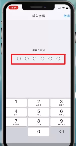苹果手机设置面容id的操作流程