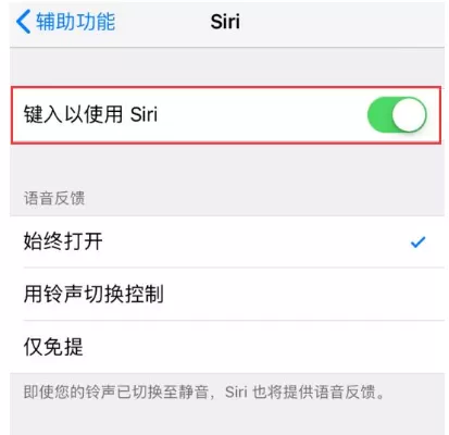 苹果手机设置通过文字召唤Siri的操作过程