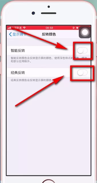 苹果手机设置颜色反转的简单操作