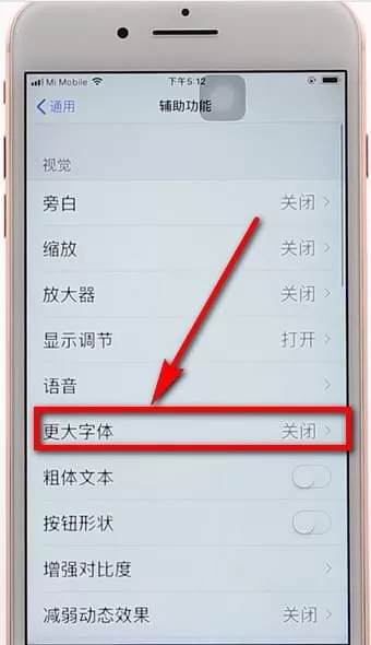 苹果手机调整字体的操作过程