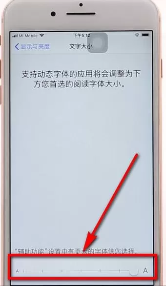 苹果手机调整字体的操作过程