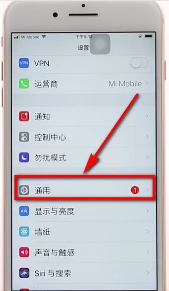 苹果手机调整字体的操作过程