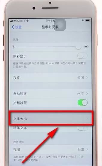 苹果手机调整字体的操作过程