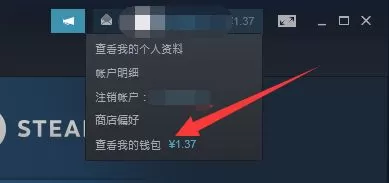 steam支付方式没有steam钱包怎么办?steam支付方式没有steam钱包解决办法