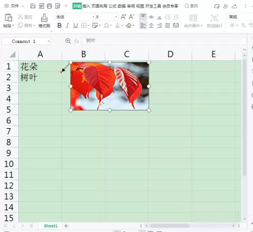 WPS表格批注怎么添加图片?WPS表格批注添加图片具体步骤