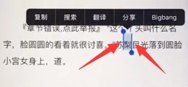 苹果手机进行复制粘贴的基础操作