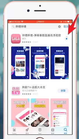 在苹果手机里下载软件的操作流程