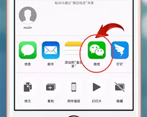 在苹果手机中将Live Photos照片发送给微信好友的详细操作