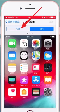 在苹果手机里将图标调小的操作过程