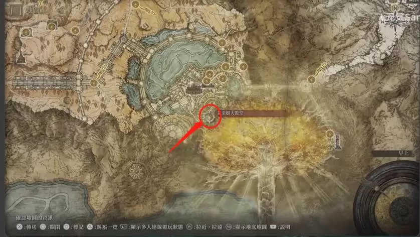 艾尔登法环荷莱露在哪里?艾尔登法环荷莱露位置介绍