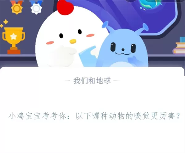 小鸡宝宝考考你:以下哪种动物的嗅觉更厉害?支付宝蚂蚁庄园11月8日答案