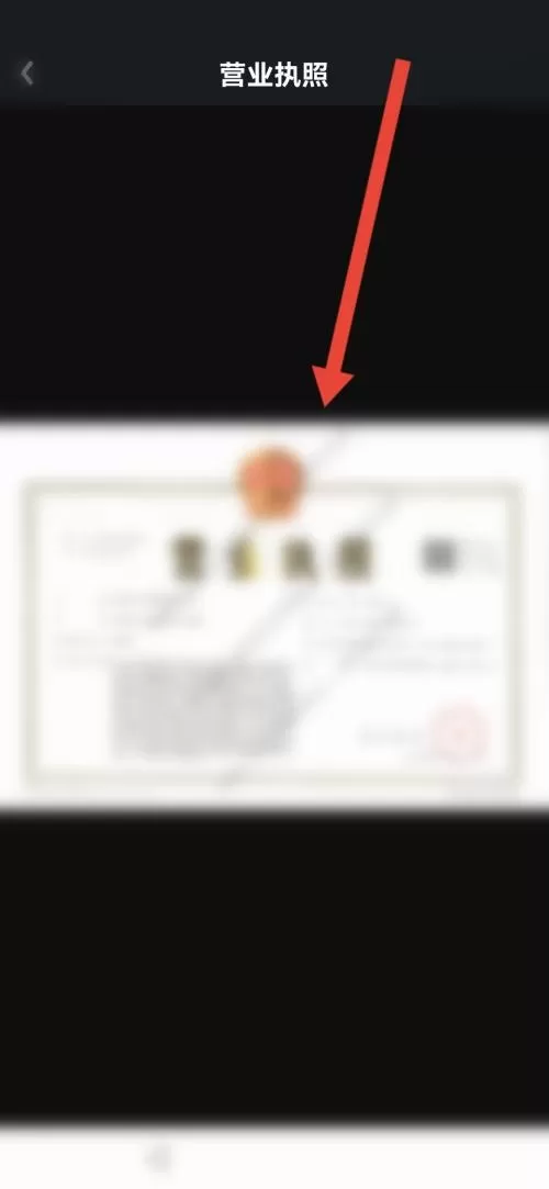 爱奇艺极速版怎么查看营业执照?爱奇艺极速版查看营业执照教程