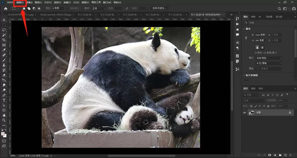 ps开发者模式怎么进入?ps进入开发者模式方法