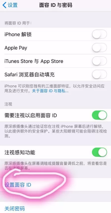 在iPhone xs max中设置人脸识别的图文教程