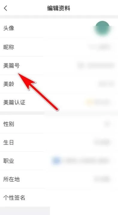 美篇怎么查看美篇号?美篇查看美篇号教程