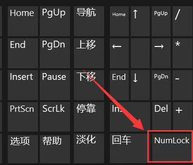Win11键盘打不了字怎么办?Win11键盘打不了字解决办法