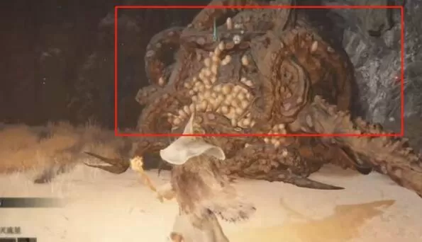 艾尔登法环安身洞窟在什么地方?艾尔登法环安身洞窟位置介绍