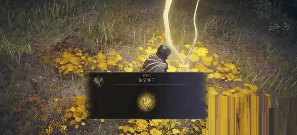 艾尔登法环流浪骑士开始带什么遗物?艾尔登法环流浪骑士开始带的遗物推荐