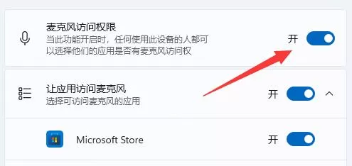 win11麦克风没声音怎么办?win11麦克风没声音解决技巧